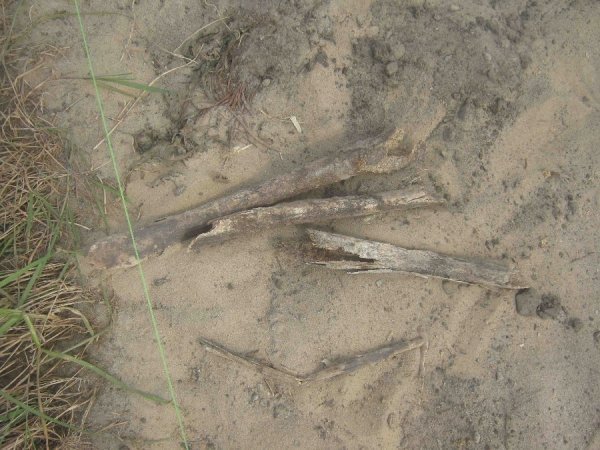 На Волині підприємець осквернив єврейське кладовище. ФОТО