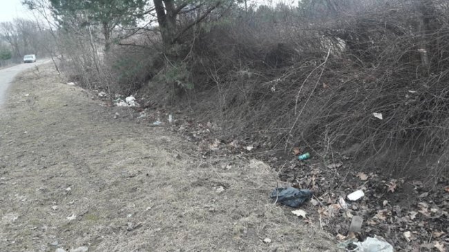 Біля дитячого табору під Луцьком – стихійне сміттєзвалище. ФОТО