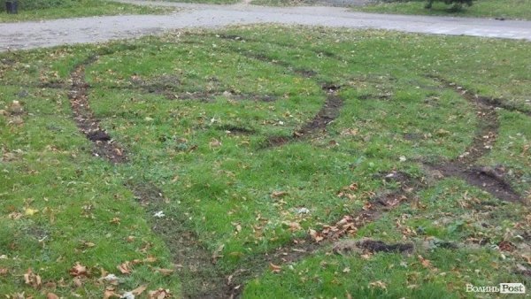 «Автовандали» понищили газон у центральному парку Луцька