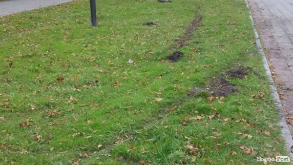 «Автовандали» понищили газон у центральному парку Луцька