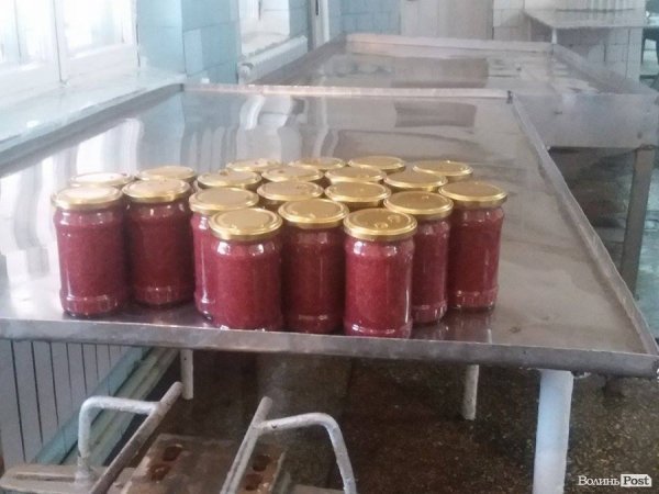 На Волині суничний бум – замість чорниці люди збирають «ягоду сонця». ФОТО