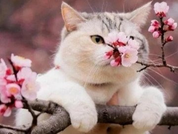 Якою буде погода на Волині завтра, 14 квітня