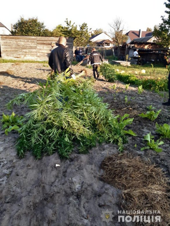 Масові підпали автівок на Волині: поліція провела масштабні обшуки. ФОТО