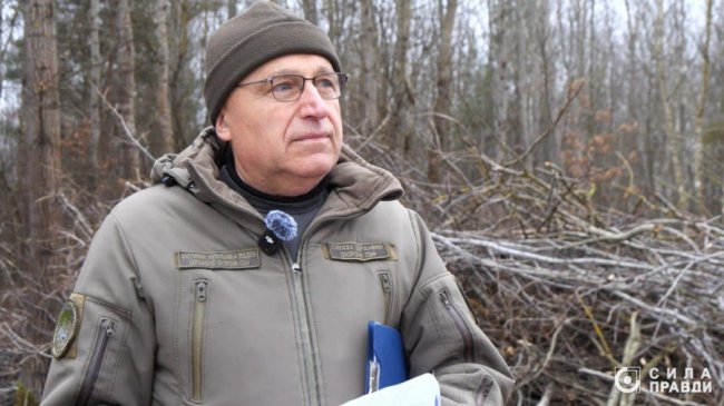 Десятки мільйонів збитків: на Волині п'ятий рік незаконно вирубують ліс у нацпарку