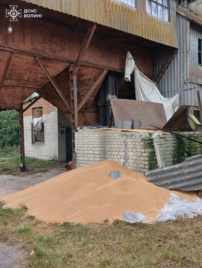 Трагедія на Ковельщині: дитина загинула, впавши в зерносховище