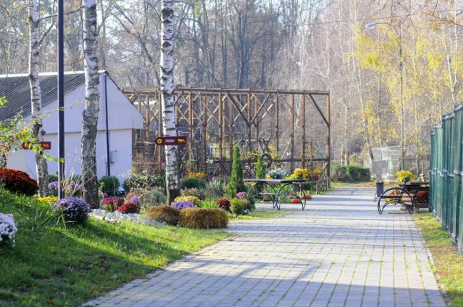 Мешканці Луцького зоопарку – в очікуванні зими. ФОТО