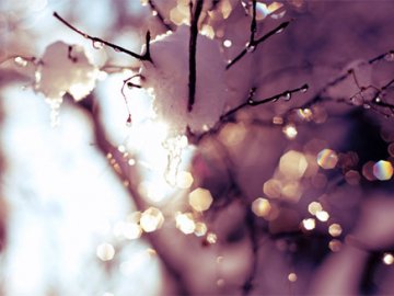 Погода в Луцьку та Волинській області на п’ятницю, 15 лютого