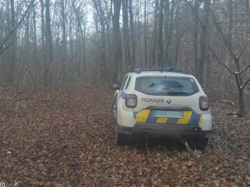 У лісі на Волині зловили молодика, який незаконно зрізував дерева