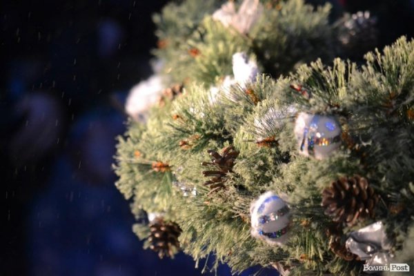 Лучани у День Cвятого Миколая «запалили» cвяткові ялинки. ФОТО