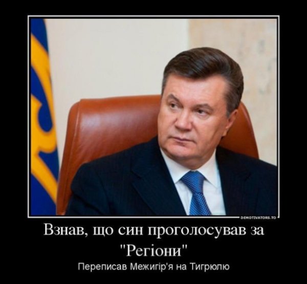 Бабуся, яка переписала хату на кота: інтернет жартує. ФОТО