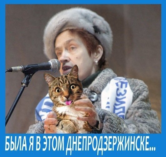 Бабуся, яка переписала хату на кота: інтернет жартує. ФОТО