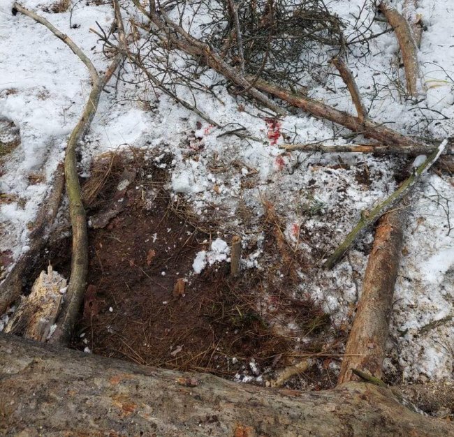 Біля кордону з Білоруссю вибухнула міна: є постраждалий