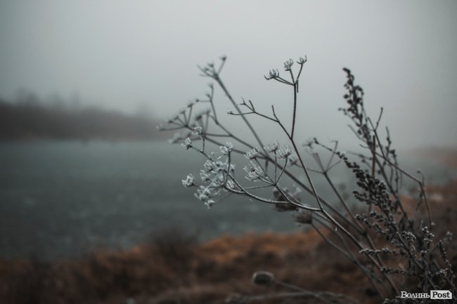Туманно-сіра краса у Луцьку. ФОТО