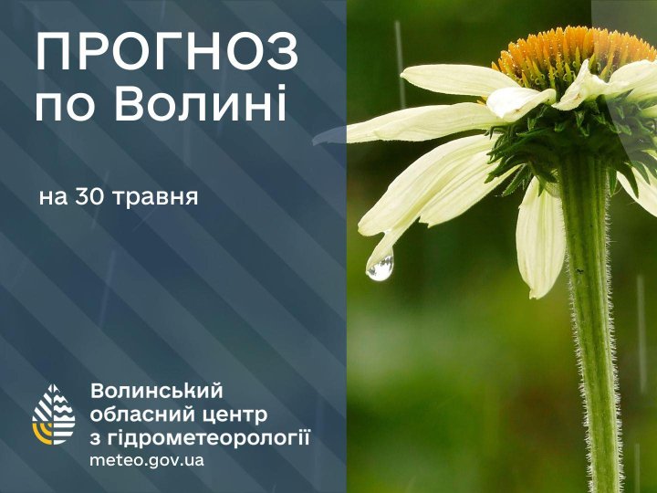 Погода в Луцьку та Волинській області на завтра, 30 травня