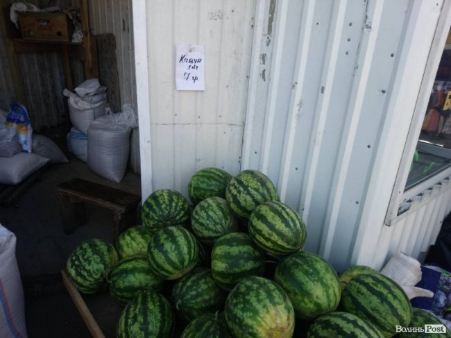 Кавуни на ринку Луцька: чому так дорого і чи буде дешевше. ФОТО