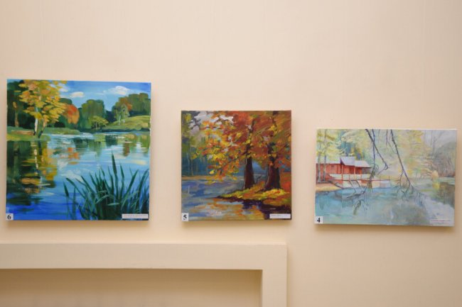 Тихий аукціон: у Луцьку в арт-галереї зібрали понад 24,6 тисяч гривень на ЗСУ. ФОТО