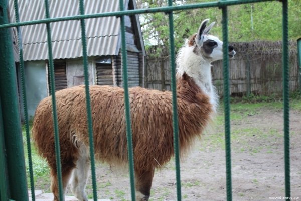 Луцький зоопарк відкрив новий сезон. ФОТО