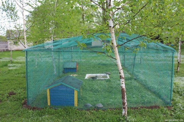 Луцький зоопарк відкрив новий сезон. ФОТО