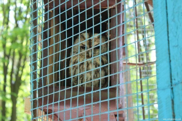 Луцький зоопарк відкрив новий сезон. ФОТО