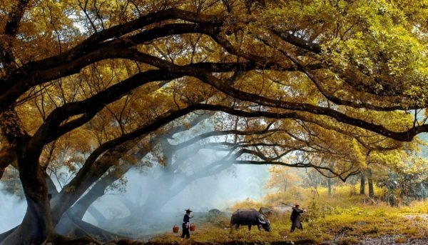 Кращі осінні фото