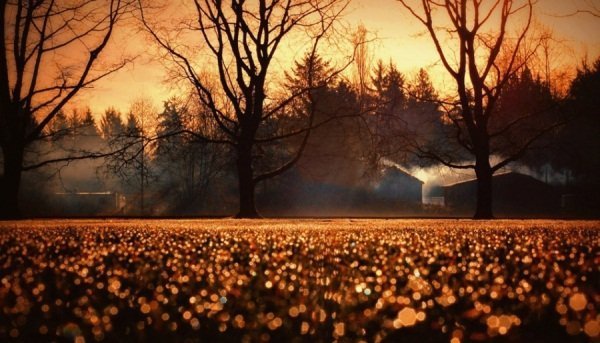 Кращі осінні фото