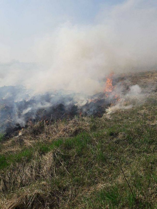 На березі Стиру горіла суха трава. ФОТО