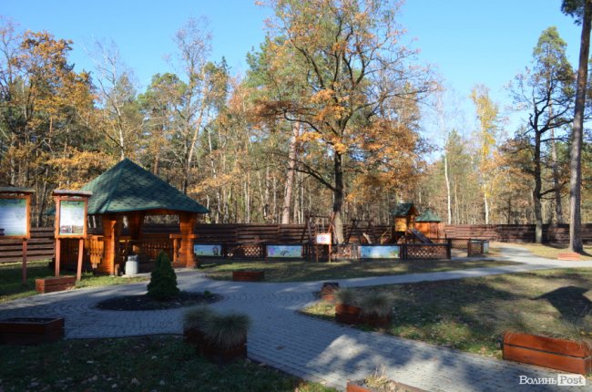 Савченко розповів, чому захищає лісників