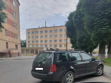 Господар закрив у машині: на Волині волонтери врятували собаку, який міг загинути від задухи. ФОТО