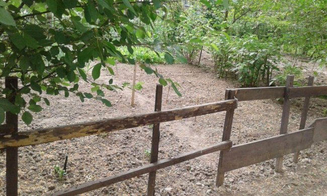 Дріт, гілки та штахети, - муніципали про «паркани» у дворах лучан. ФОТО