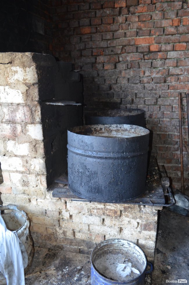 Показали умови, у яких живуть тварини в луцькій «Ласці». ФОТО