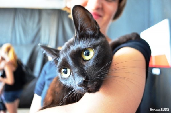 Молодий художник намалював підсвідомість 