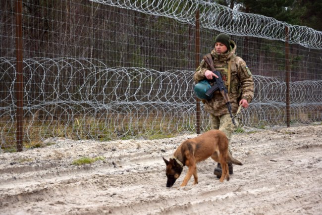 Тварин полюбив під час роботи в Італії: історія кінолога з Волинського прикордонного загону