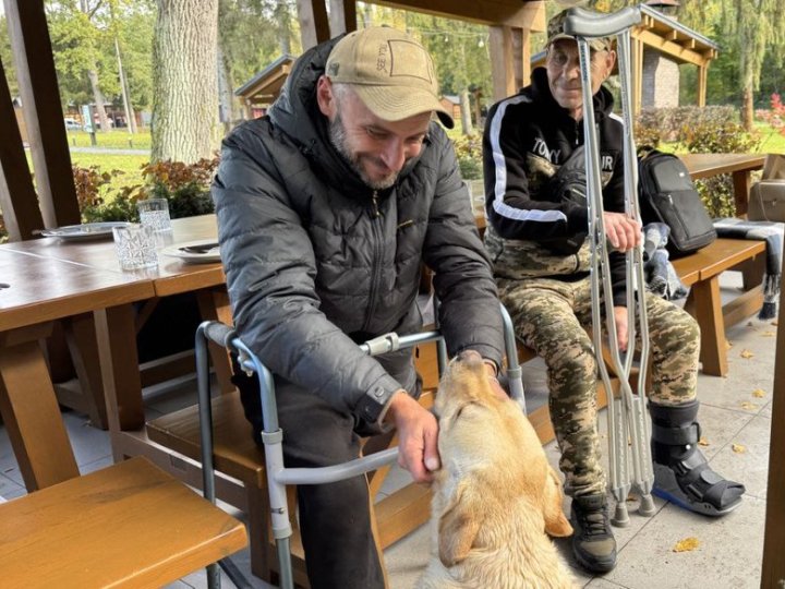 Як військові проходять екотерапію на Волині