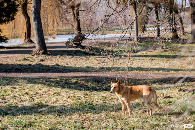 У Луцьку – майже весна. ФОТОРЕПОРТАЖ