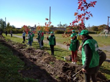 Волинь зберігає лідерство у реалізації програми «Зелена країна»