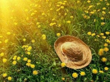 Погода на завтра, 14 червня, у Луцьку