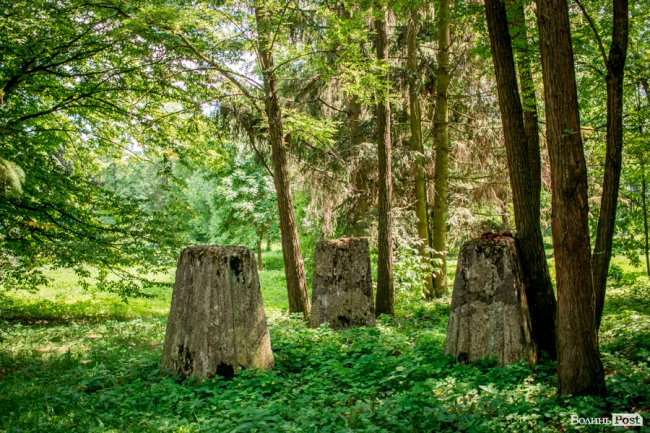 Літо у луцькому парку. ФОТО