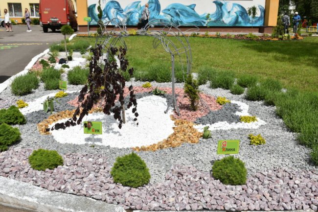 У Луцьку на території дитячого садочка з'явився ботанічний куточок. ФОТО