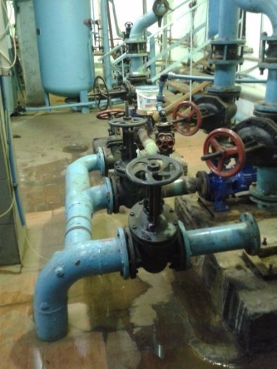 Центральний басейн Луцька в оновленому вигляді розпочав свою роботу. ФОТО