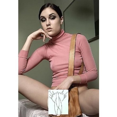 Інтернет жартує з Путіна і його малюнку кішки. ФОТО