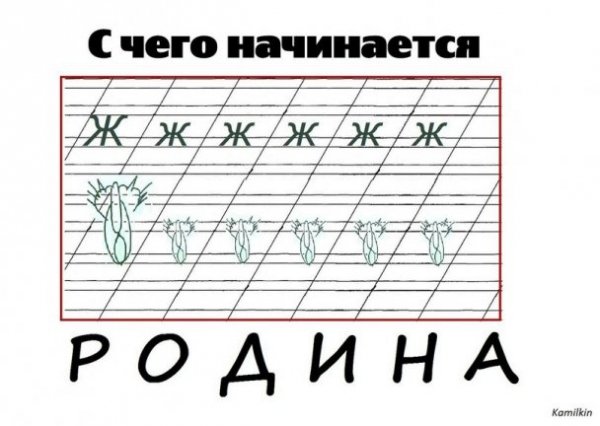 Інтернет жартує з Путіна і його малюнку кішки. ФОТО