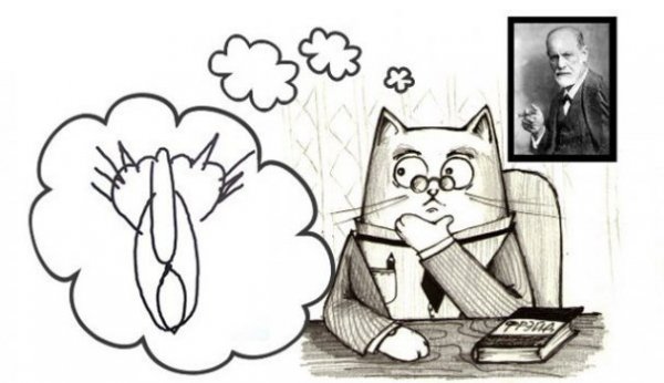 Інтернет жартує з Путіна і його малюнку кішки. ФОТО