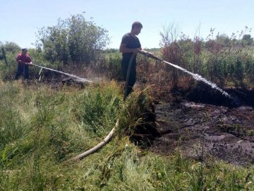 На Волині горіло торфове поле