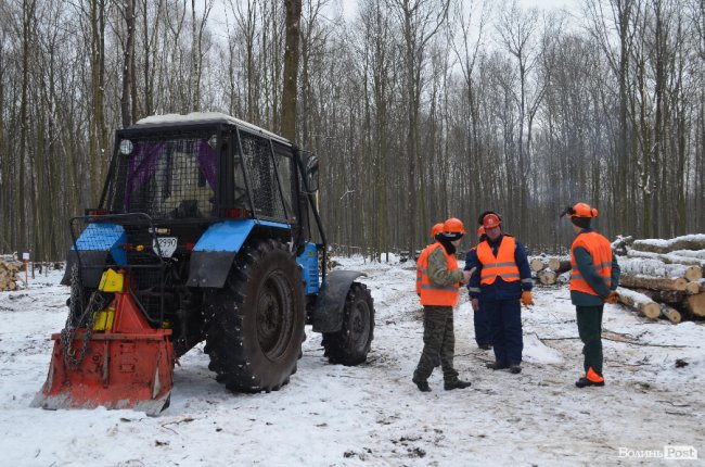 Жнива у зимовому лісі: як на Волині заготовляють деревину. ФОТО