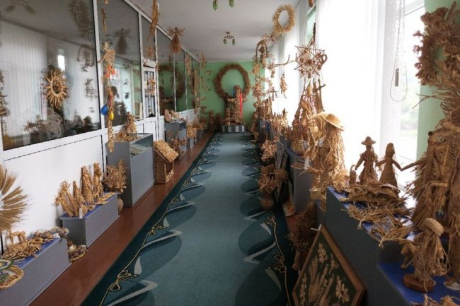 Народна майстриня з Волині із сім'єю заготовляє матеріали для соломоплетіння. ВІДЕО