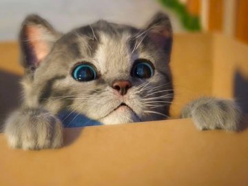 На Волині «нянькою» для кошенят став кабан. ФОТО