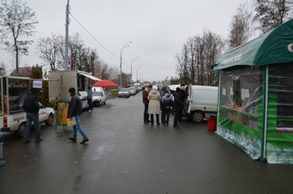 У Межигір’я вже водять платні екскурсії. ФОТО