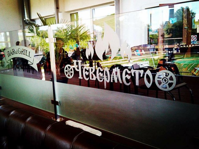 Луцьк (не)дружелюбний: у яких закладах можна посидіти з домашніми улюбленцями