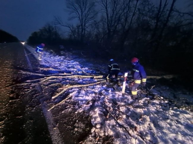 На Волині сильний вітер повалив на дорогу дерева. ФОТО