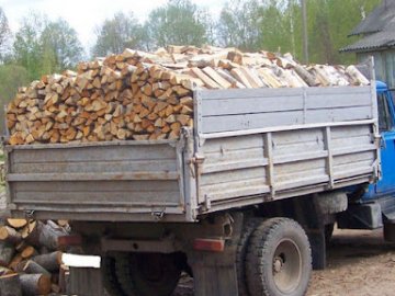На Волині продають дрова-привиди
